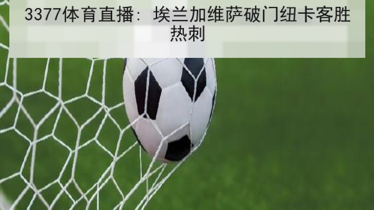 3377体育直播: 埃兰加维萨破门纽卡客胜热刺